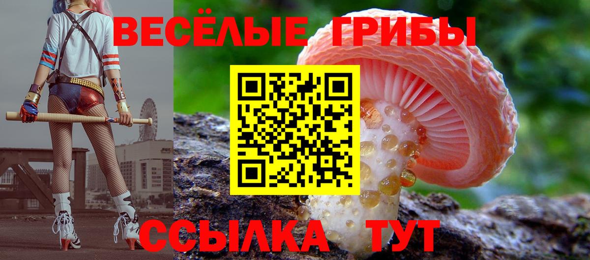 Железногорск  Галлюциногенные грибы мухоморы  Псилоцибиновые грибы Cubensis  Вход с VPN 